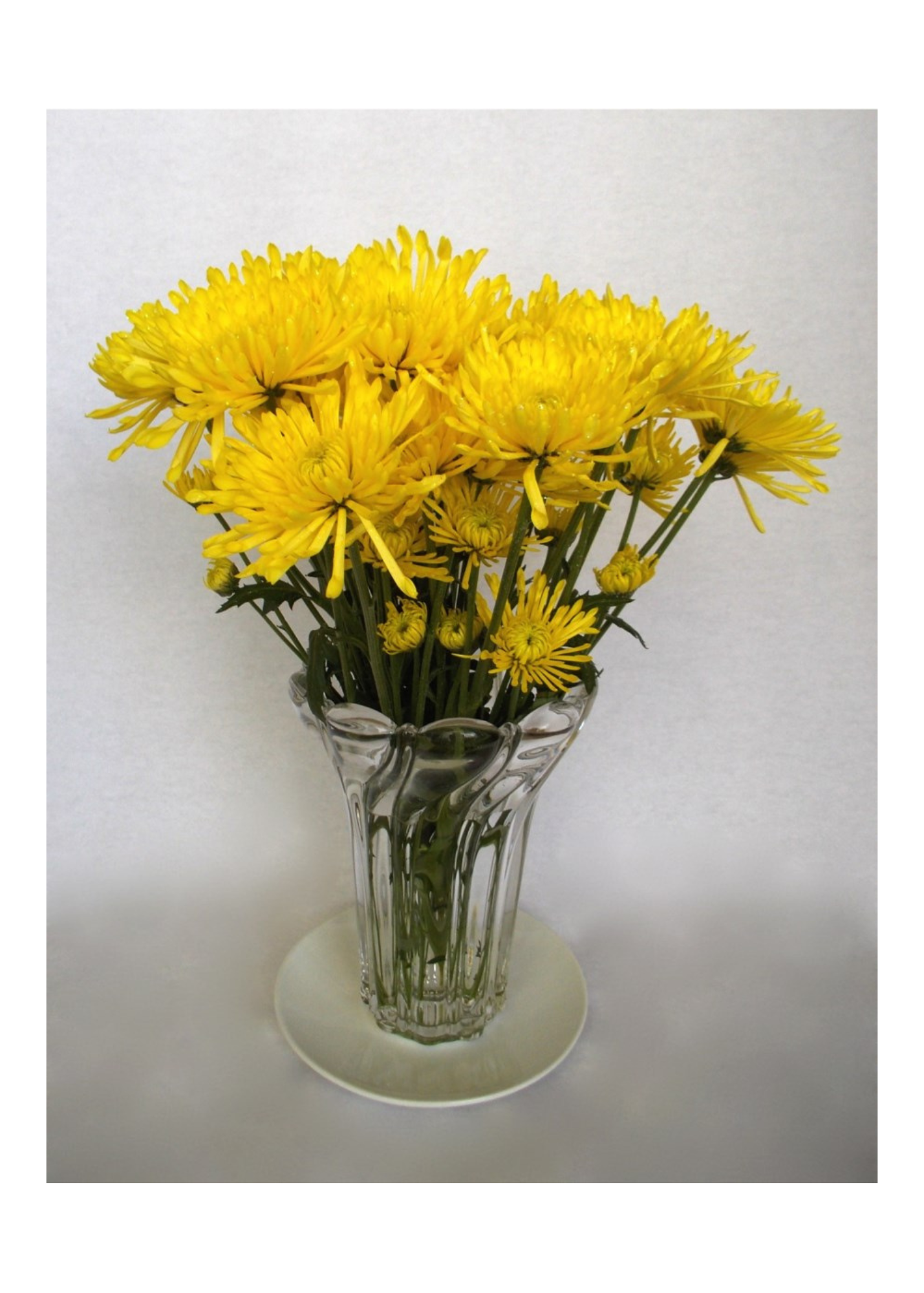 Mother's Day Two-Card Pack