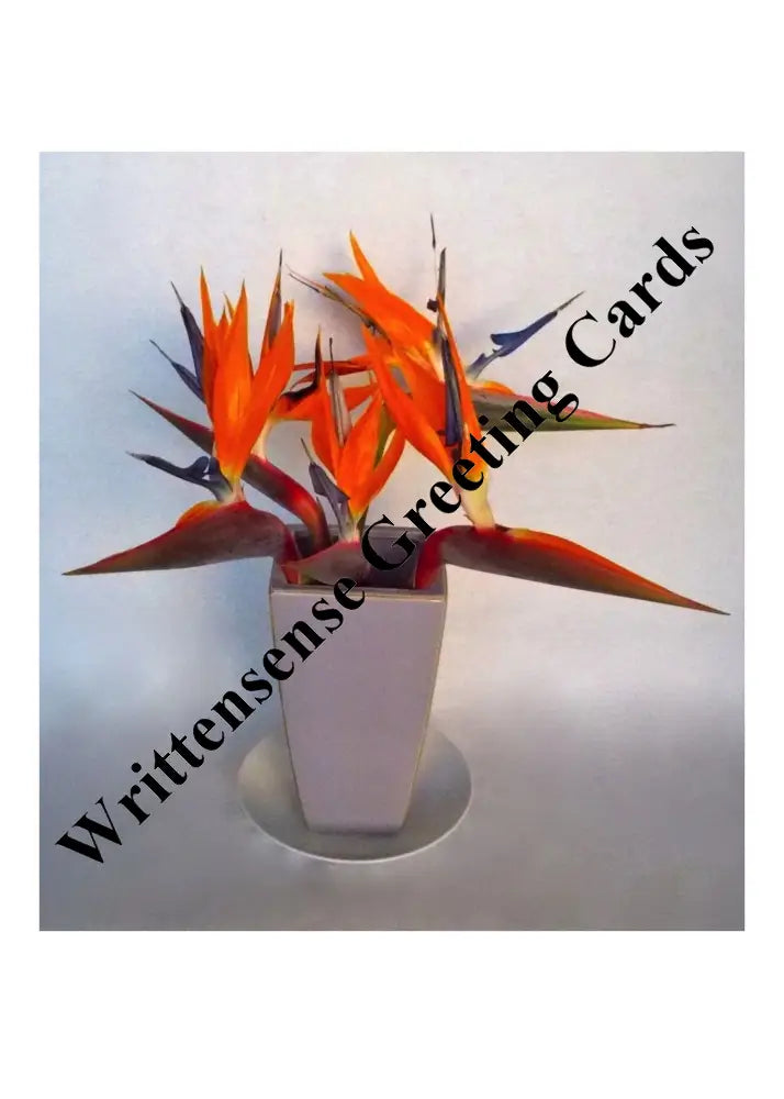 Bird-Of-Paradise Flowers Birthday Card (1 10 30 And 50 Pcs) Paper Products