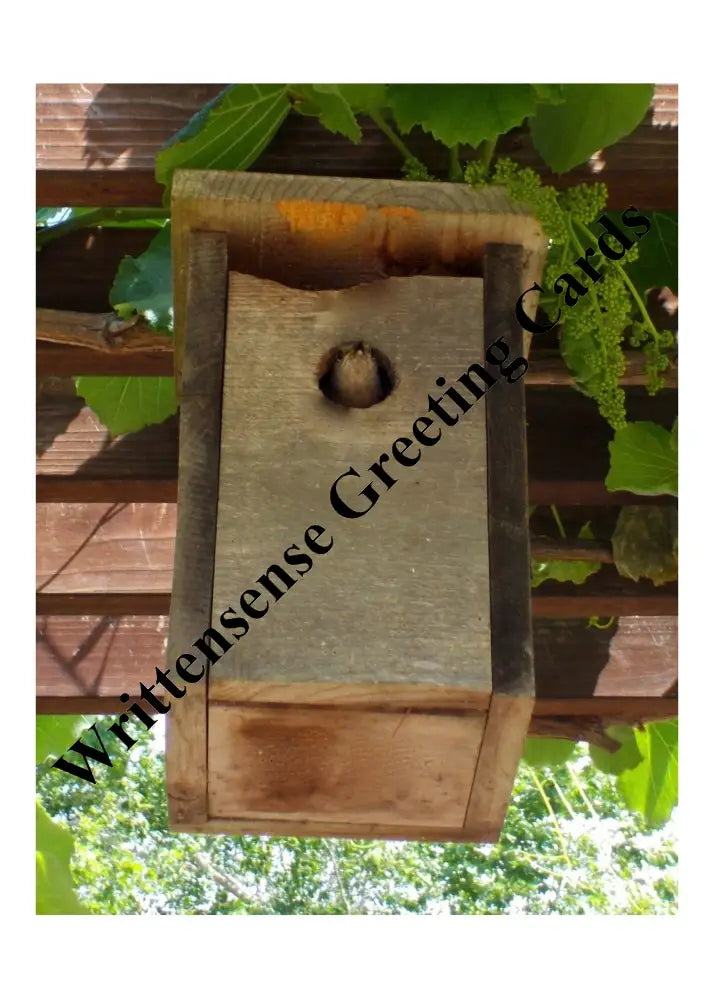 Birdhouse Housewarming Invitation Card (1 10 30 And 50 Pcs) Paper Products