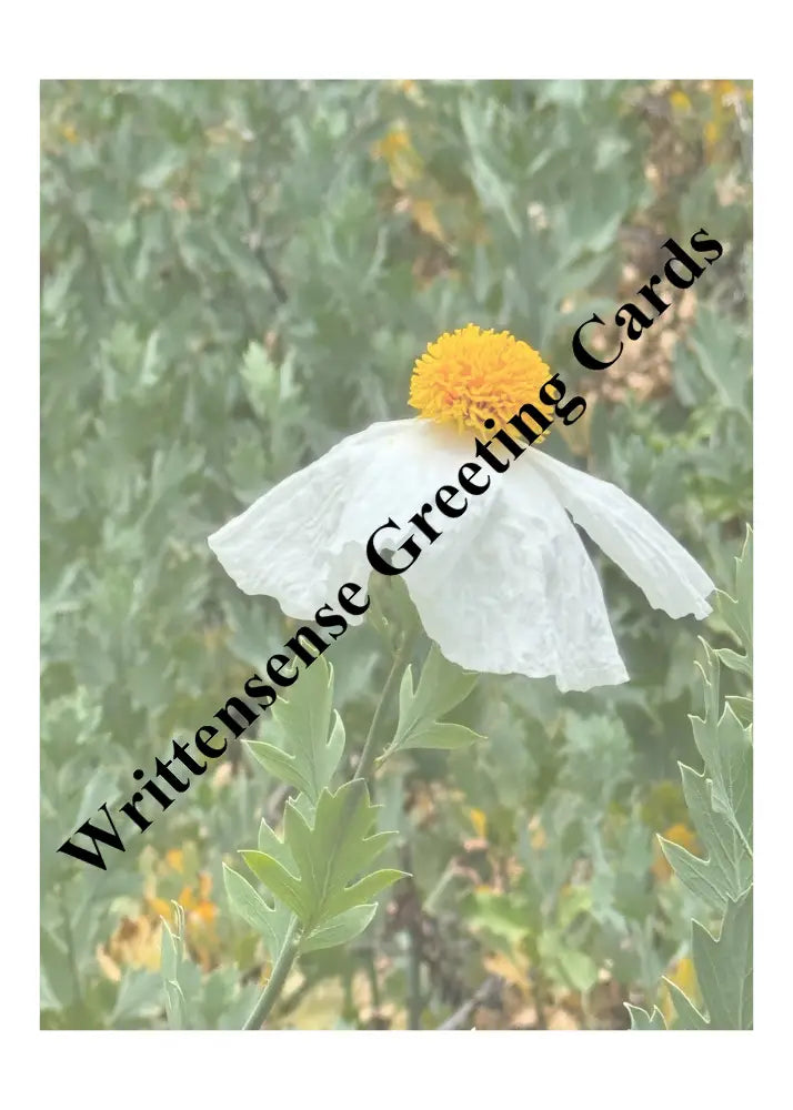 California Tree Poppies Birthday Card (1 10 30 and 50 pcs) - Paper products