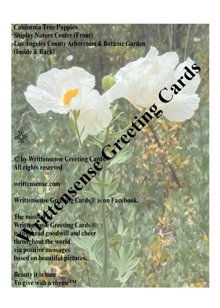 California Tree Poppies Birthday Card (1 10 30 and 50 pcs) - Paper products