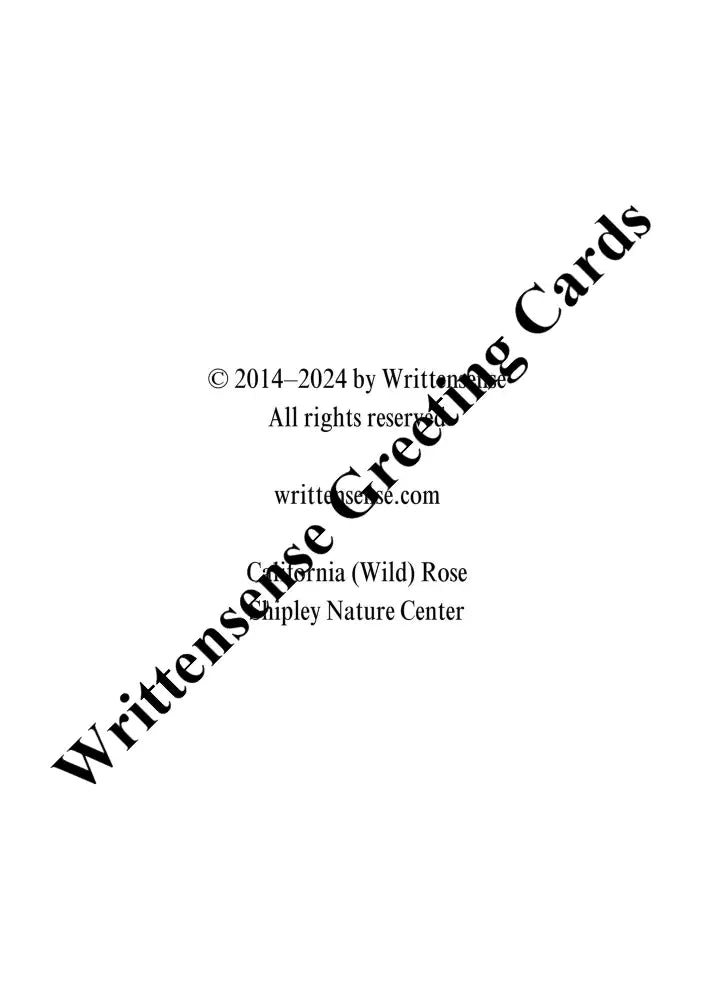 California (Wild) Rose Pregnancy Card (1 10 30 And 50 Pcs) (Copy) Paper Products