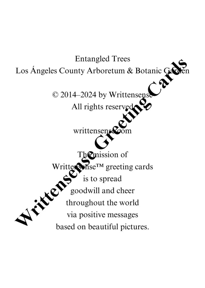 Entangled Trees Birthday Card (1 10 30 And 50 Pcs) Paper Products