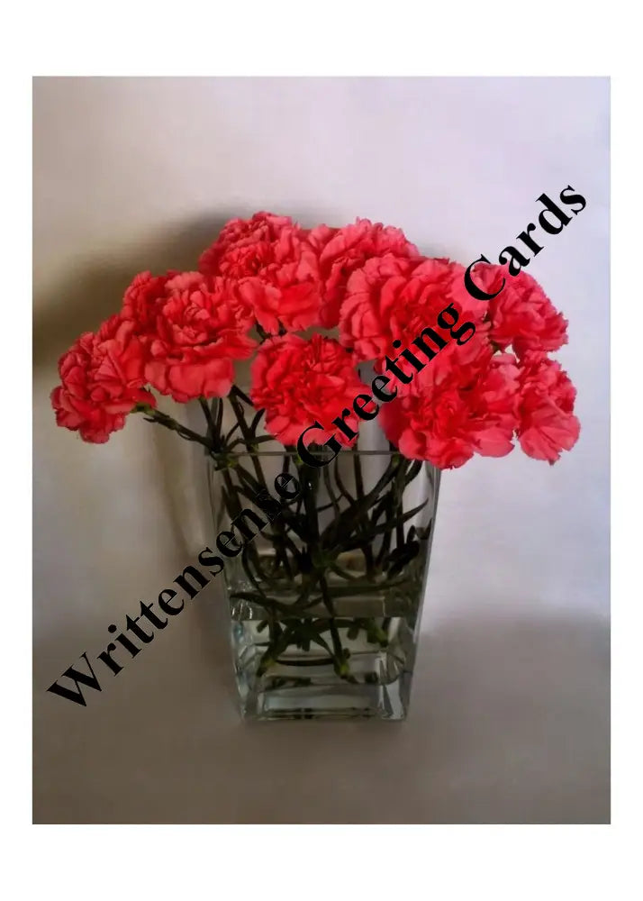 Pink Carnations Congratulations Card (1 10 30 And 50 Pcs) Paper Products