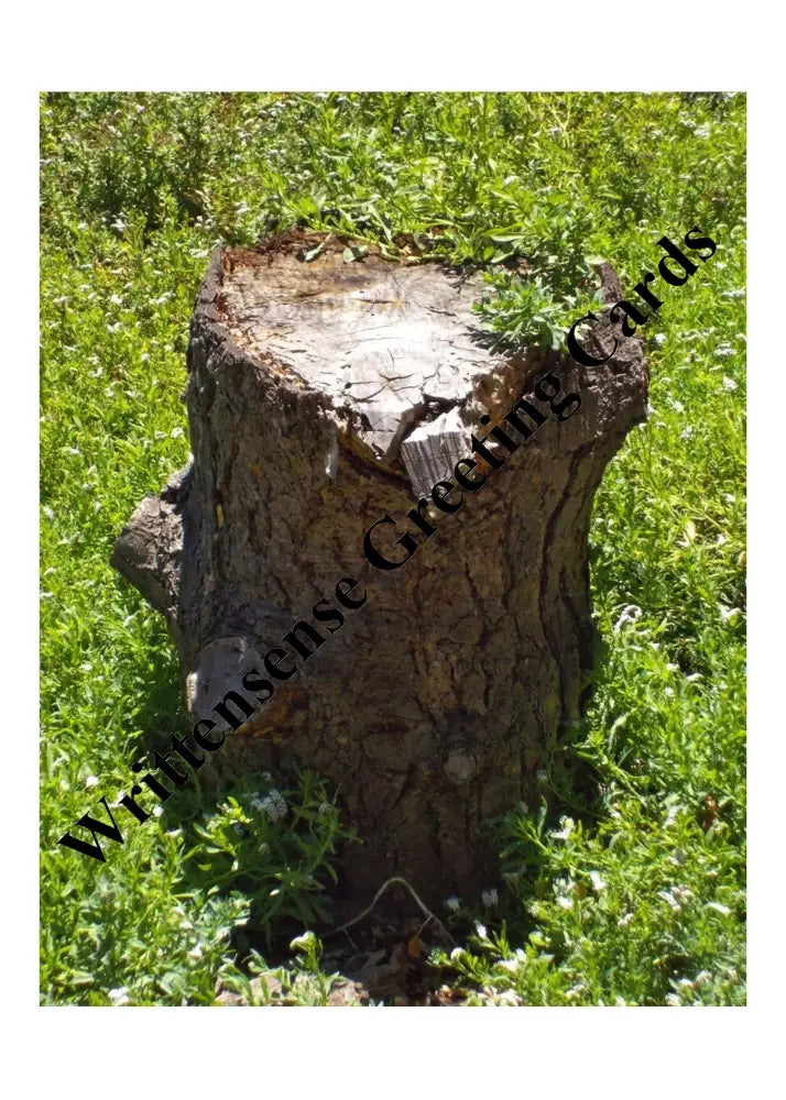 Tree Stump Sympathy Card (1 10 30 And 50 Pcs) Paper Products